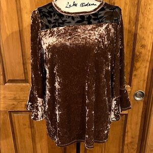 Dear John Brown Velvet Blouse with Black Floral Detail